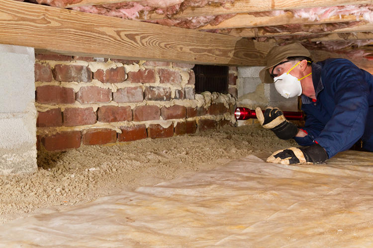 bay area crawl space cleaning